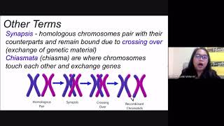 Meiosis Reviewer for LET GenEd Biology Major Entrance and Scholarship Exams [upl. by Haikezeh219]