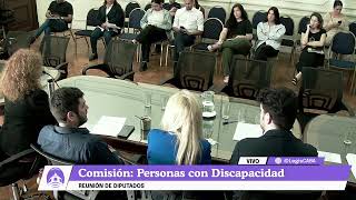 Diputados  Comisión de Discapacidad [upl. by Okemak313]