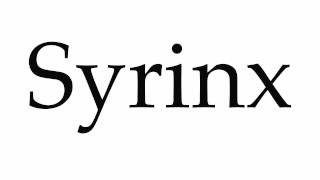 How to Pronounce Syrinx [upl. by Watters]