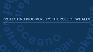 Protecting biodiversity the role of whales  Blue Economy Summit 2024 [upl. by Sternlight]