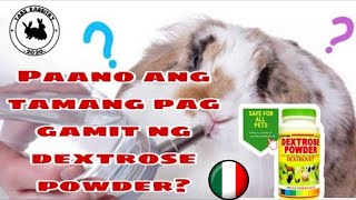 Paano ang tamang pag gamit ng dextrose powder sa alaga nating rabbit   How to administer dextrose [upl. by Blanding]