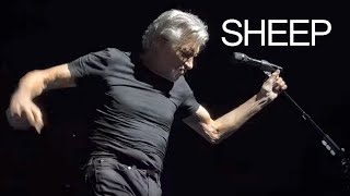 Roger Waters “Sheep” live  September 3 2022 Kansas City [upl. by Adnirual466]