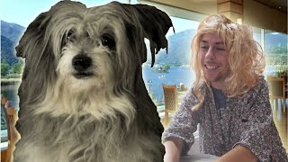 MIN HUND OG BLONDINER [upl. by Katzman]