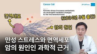 quot암의 원인만성 스트레스 자율신경과 관계가 있습니다quot 교감신경 항진 면역세포 암과의 관계최신 논문 [upl. by Ainehta638]