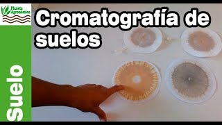 TALLER de ELABORACIÓN de 👨🏻‍🔬👩🏻‍🔬 CROMATOGRAFÍA de 🌱 SUELO de Pfeiffer [upl. by Tiana]