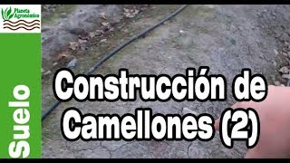 La necesidad de CONSTRUIR CAMELLONES 🌱🌱 – parte 22 [upl. by Bridges]