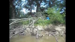 OLD CABIN ON THE HATCHIE RIVER [upl. by Templia775]