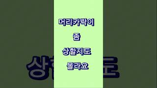 Korean Reading practice 004 koreanlanguage audiobook korean [upl. by Erick]