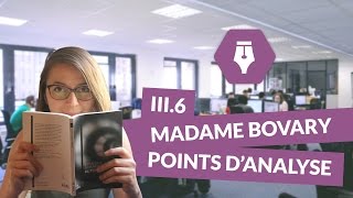 Lecture commentée de Madame Bovary  partie III  chapitre 6  points d’analyse  Littérature [upl. by Dranoc]