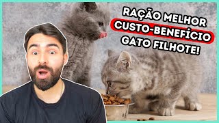 As Rações Com Melhor CUSTOBENEFÍCIO Para Gato FILHOTE [upl. by Pride]