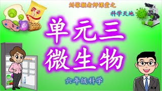 六年级科学 单元三 微生物 课本版本 （第二章） 微生物的生命过程  微生物的生长条件 [upl. by Yrrem]