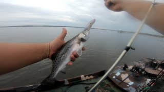 Inshore SLAM Sneads Ferry Flats Fishing [upl. by Azarria514]