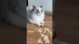 Pennywise IT el payaso ft Michi cat michis funny memes pennywise [upl. by Amalle]