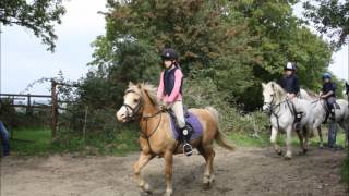 Kilworth and Araglen Harriers Fun Ride [upl. by Otilesoj]