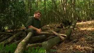 Ray Mears  How to split wood with a saw Bushcraft Survival [upl. by Sochor]