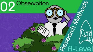 Observation  Research Methods  A Level Psychology [upl. by Atteuqram]