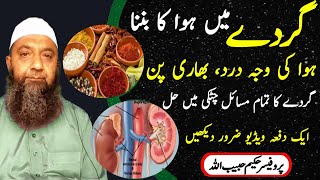 Treatment for all Kidney Problems l kidney pain l Gurdy Me Hawa Ki Waja Sy Dard Hona [upl. by Appilihp624]