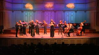 PLMF  Oksana Sinkova flute amp Camerata Nordica  Saverio Mercadante [upl. by Lauro]