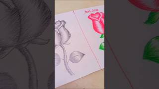 which colour is best PENCIL🆚️PENCIL COLOUR scenery trending viral shorts [upl. by Llennej]