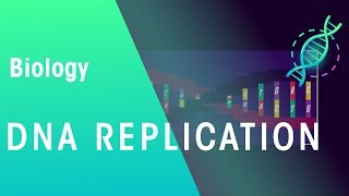 DNA Replication  Genetics  Biology  FuseSchool [upl. by Vivianna913]