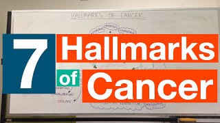 Hallmarks of Cancer  Pathophysiology [upl. by Uzzi910]