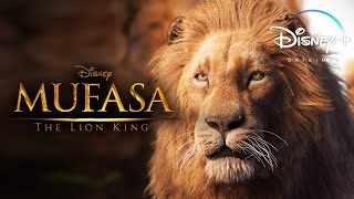 The Lion King 2019 Animated Movie  Donald Glover  The Lion King Full Film Review In English [upl. by Assir]