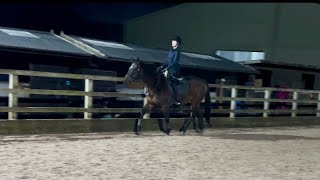 Riding School Dressage League Intro C November [upl. by Attecnoc]