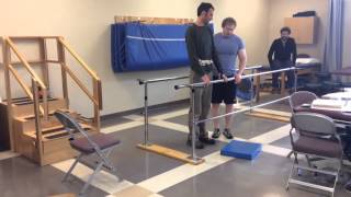 Static and Dynamic Balance Interventions [upl. by Wanfried]