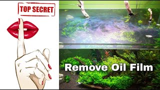 How to Stop Oil Films On Top Of Planted Aquarium Naturally । Secret Trick [upl. by Edvard]