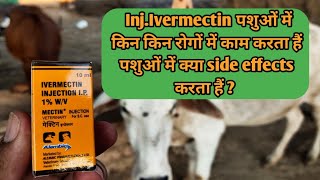 InjIvermectim Mectin use in cattle इंजेक्शन ivermectin का उपयोग व सावधानीpetvettownmectin [upl. by Kapeed642]