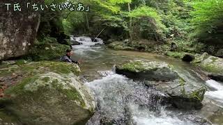 【渓流釣り】ルアーの限界を感じる時期の鵜住居川 [upl. by Atelokin]