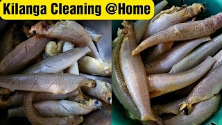 Kilanga fish cleaning  Kilanga Meen Cleaning English  Lady fish cleaning at home [upl. by Akli406]