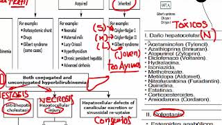 Gastroenterología  5 RM19 2V GASTROENTEROLOGIA ICTERICIA COLESTASIS HEPATITIS [upl. by Brucie]