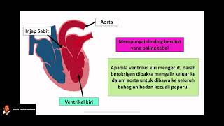 Sains Tingkatan 3 KSSM  Bab 3 Pengangkutan  32 Sistem Peredaran Darah  Bahagian 2 [upl. by Jehiah]