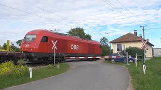 Eisenbahnkreuzungen  Železniční přejezd Grafenberg 1 A  2352024 [upl. by Anidam]