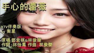 手心的薔薇 KTV伴奏版 by 衡星 原唱鄧紫棋amp林俊傑 作詞：林怡鳳 作曲：林俊傑 [upl. by Melcher]