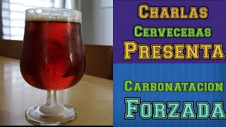 Charlas Cervecera Presenta quotCarbonatacion Forzadaquot [upl. by Malo]