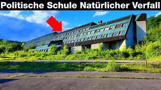 POLITISCHE SCHULE NATÜRLICHER VERFALL lautes Geräusch aus dem Keller [upl. by Ecnarf]