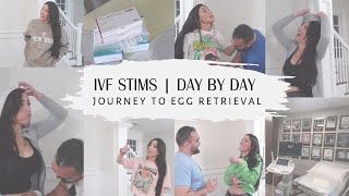 IVF Stimulation Day By Day  Journey To Egg Retrieval ivf ttc icsi [upl. by Fredrika499]