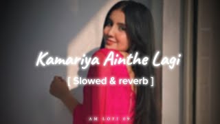 Kamariya Ainthe Lagi Slowed Reverb LOFI Bhojpuri Song 🥵🎧🦋 [upl. by Mauer]