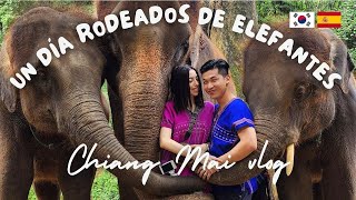 VLOG Chiang Mai  Thai Street Market día con elefantes y masaje tailandés  international couple [upl. by Meadows]