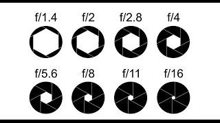 Beginner DSLR Photography basics Aperture and depth of field guide [upl. by Lisan676]