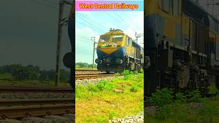 WDG 4D Diesel Engine crossing trending wcr railway wdg4 shorts indianrail indiarailway train [upl. by Merilyn]