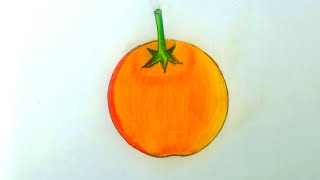 How to draw a beautiful orange  Easy Fruit drawing  Step By Step [upl. by Einnhoj]