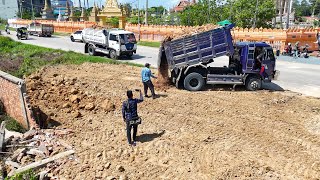 New Project Landfill In front of the pagoda by Bulldozer Push Fence​ and Soil Truck Unloading Soil [upl. by Correna42]