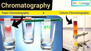 Chromatography 3D animation  Paper and column Chromatography  1st yr bio Ch1 lecture 5 [upl. by Alejandro]