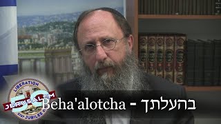 Weekly Torah Portion Behaalotcha [upl. by Tjaden731]