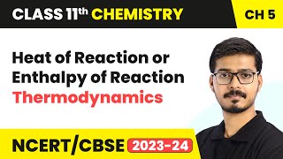 Heat of Reaction or Enthalpy of Reaction  Thermodynamics  Class 11 Chemistry Chapter 5 [upl. by Peterus]