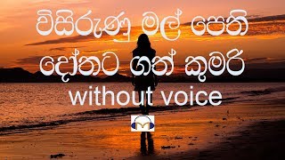 Visirunu Mal Pethi Karaoke without voice විසිරුණු මල් පෙති [upl. by Yticilef22]