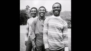 The Maytals  Tell Me The Reasons [upl. by Flem]